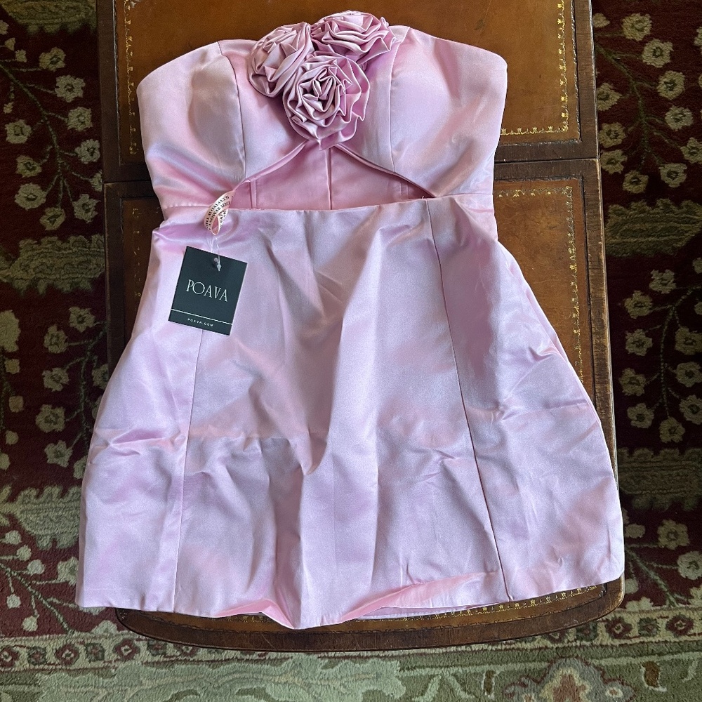 Poava pink mini dress